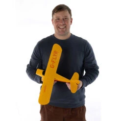 Hobbyzone Champ Anniversary Special Edition 515mm Ready-to-Fly RC Airplane With SAFE 39 Hobbyzone Champ Anniversary Special Edition 515mm Ready-to-Fly RC Airplane With SAFE -RC Superstore HBZ04900 19 16505.1752545007