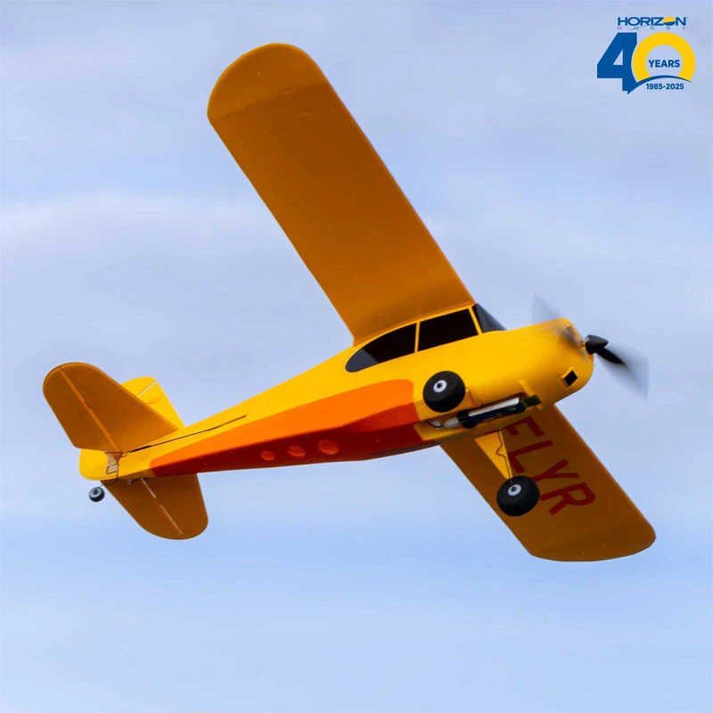Hobbyzone Champ Anniversary Special Edition 515mm Ready-to-Fly RC Airplane With SAFE 4 Hobbyzone Champ Anniversary Special Edition 515mm Ready-to-Fly RC Airplane With SAFE - Image 2